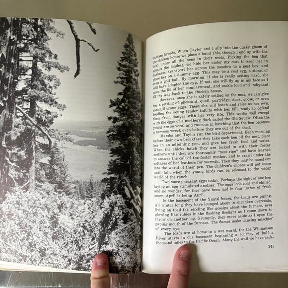 YAMSI by Dayton O. Hyde Vintage Hardcover Nature Ranch Memoir Book Retro Photos - Picture 9 of 10